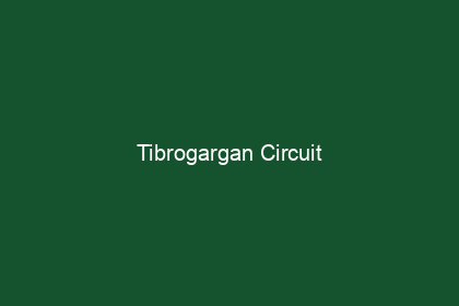 Tibrogargan Circuit