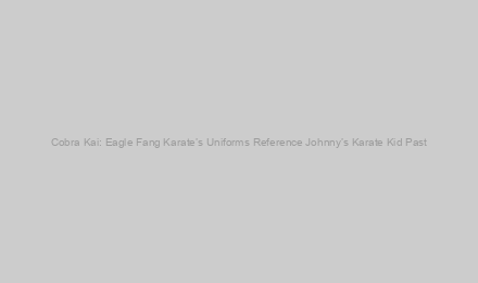 Cobra Kai: Eagle Fang Karate’s Uniforms Reference Johnny’s Karate Kid Past