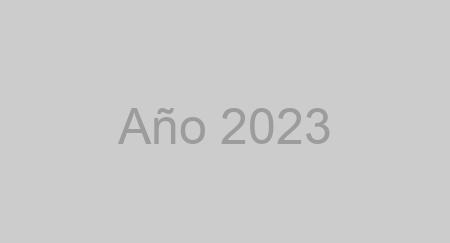 Año 2023