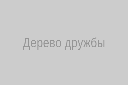 Схема расклада Дерево дружбы