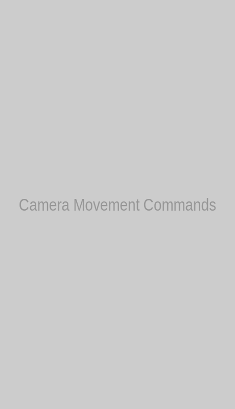 Camera and Movement Commands
