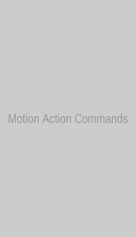 Motion and Action Commands