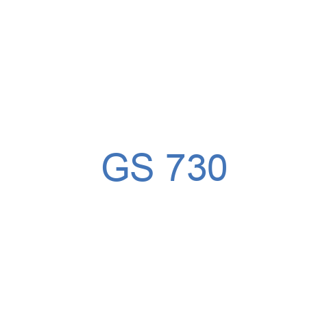 GS 730