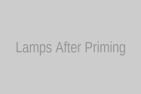 Lamps after being thoroughly cleaned and coated with primer, showing a smooth, uniform base.
