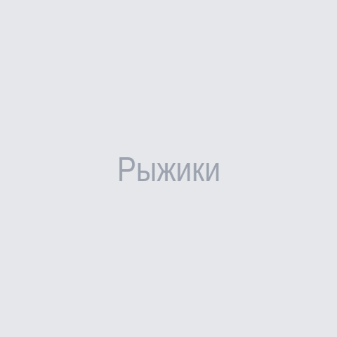 Рыжики