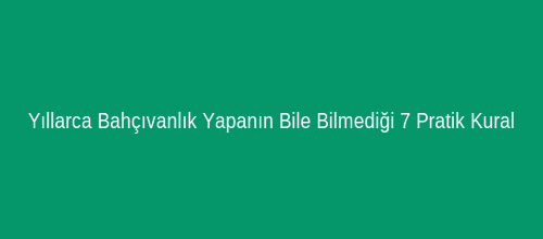 Yıllarca Bahçıvanlık Yapanın Bile Bilmediği 7 Pratik Kural