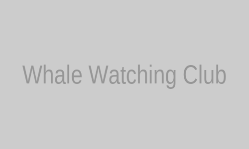 Whale Watching Club