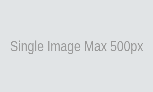Description of Single Image