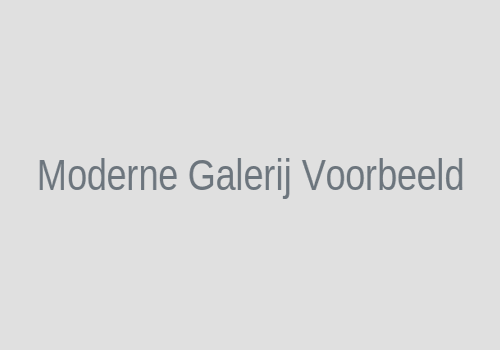 CaptureFlow Platform Voorbeeld