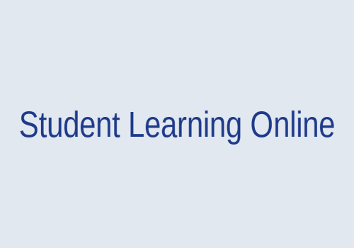 Student learning on laptop