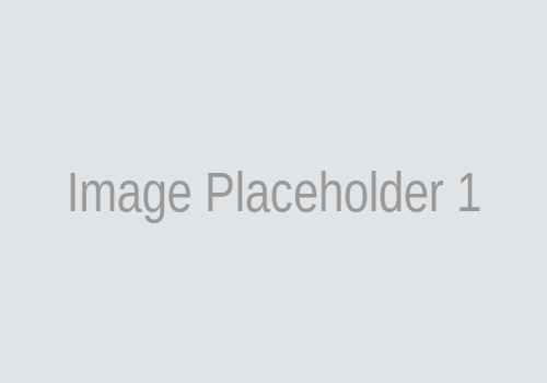 Description of Image 1