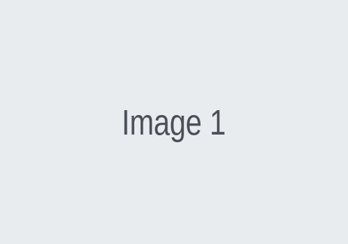 Product View 1
