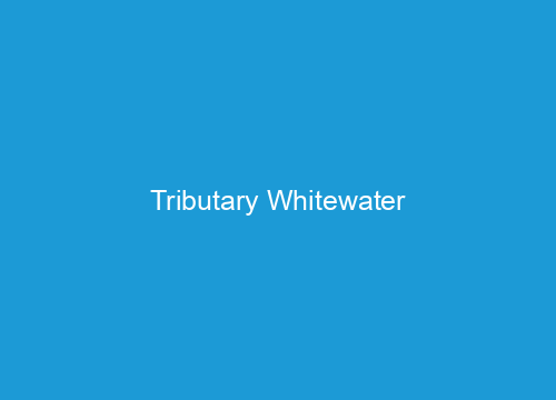 Tributary Whitewater