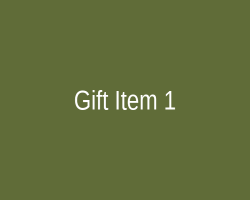 Gift 1