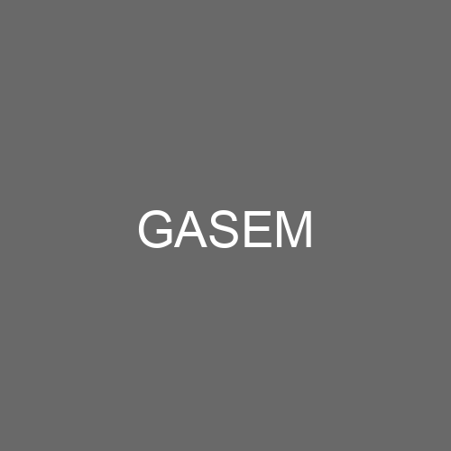 GASEM