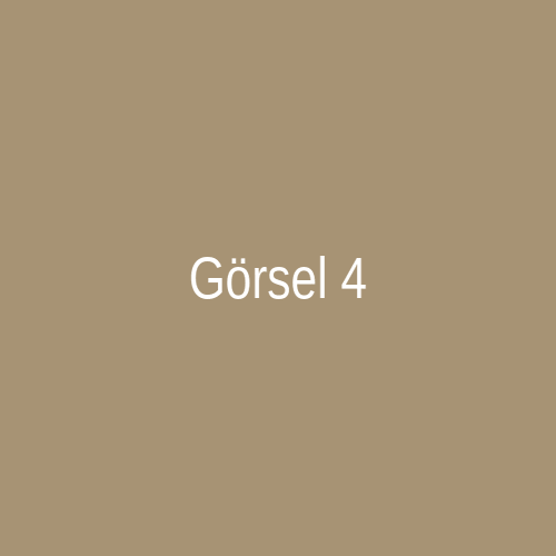 Haber Görseli 4