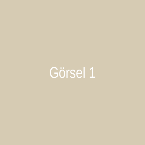 Haber Görseli 1