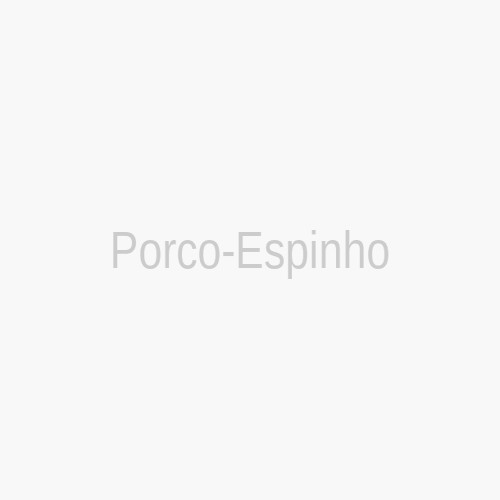 Porco-Espinho