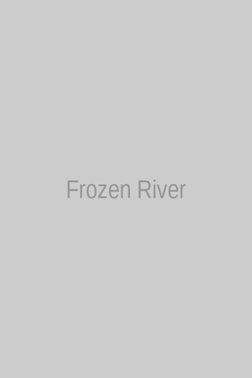 Frozen River 123Movies Hindi Poster
