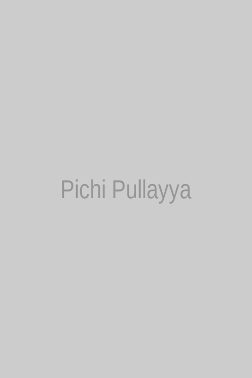 Pichi Pullayya 123Movies Hindi Poster