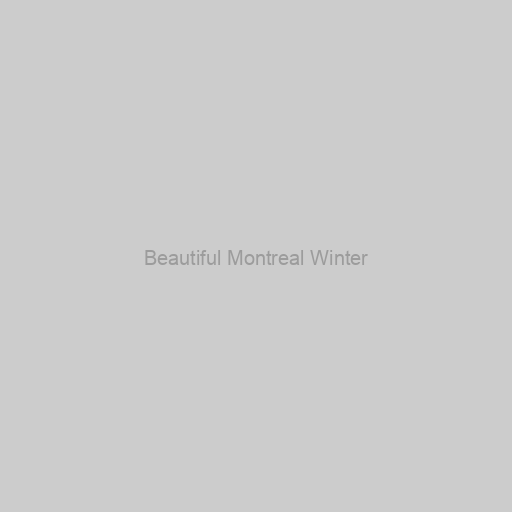 Beautiful Montreal Winter