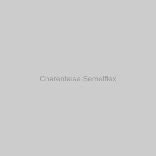 Charentaise Semelflex