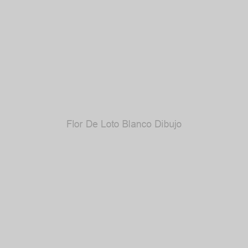 Flor De Loto Blanco Dibujo