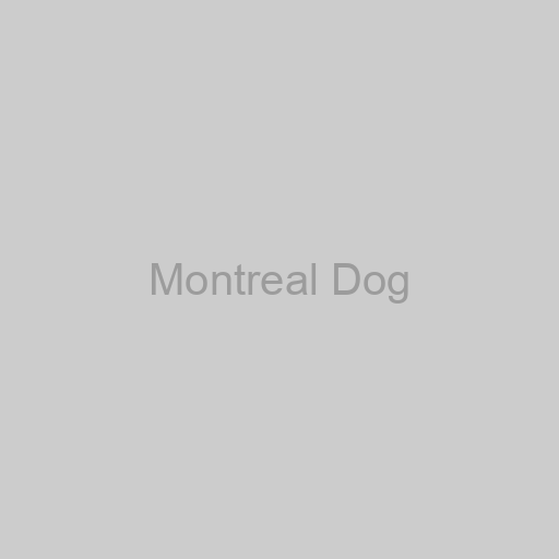 Montreal Dog