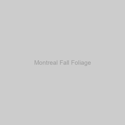 Montreal Fall Foliage