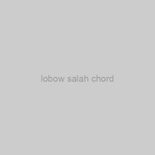 Lobow Salah Chord