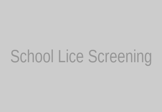 Organic Lice Guru performing school lice screenings