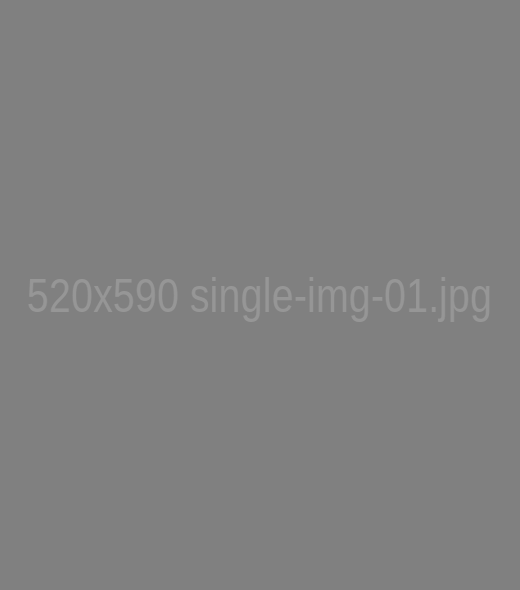 single_01