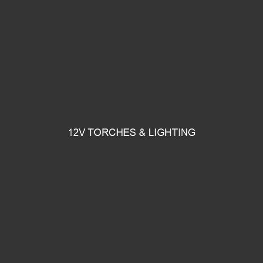 12V Torches & Lighting