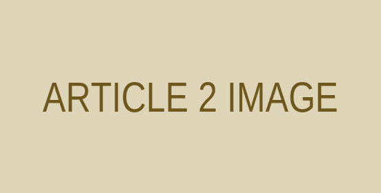 Article 2 placeholder image