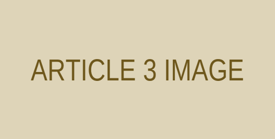 Article 3 placeholder image