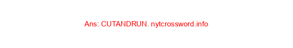 Top ROund sTeak NYT Crossword Clue