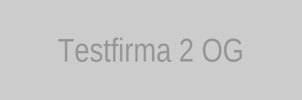 Testfirma 2 OG