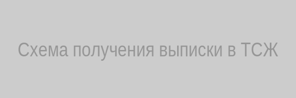 Схема получения выписки