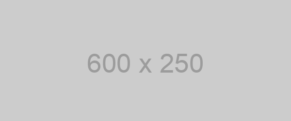 viendo un Perfil - washi 600x250