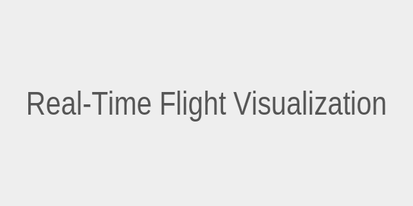 Real-time flight data visualization