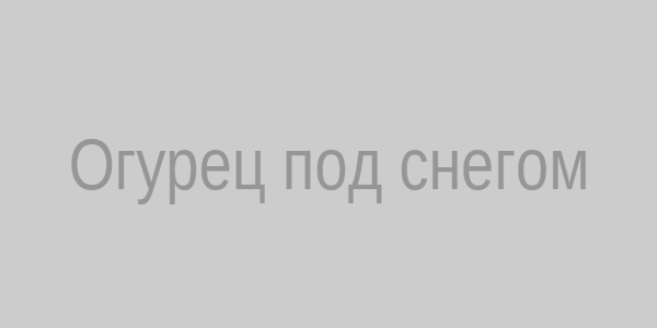 Огурец под снегом