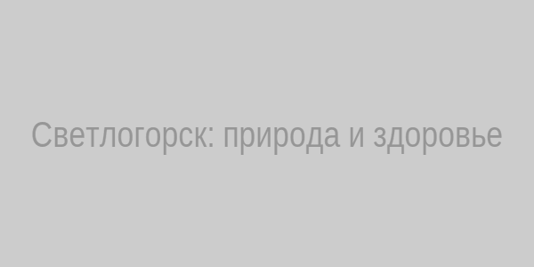 Природа Светлогорска