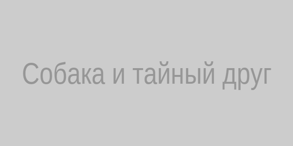 Собака и тайный друг