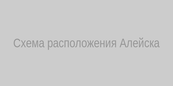 Карта расположения г. Алейск