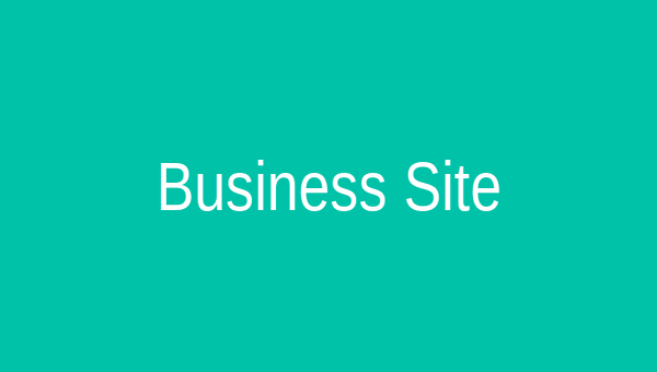 Business brochure website