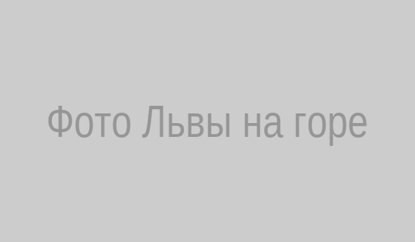 Поза Львы на горе