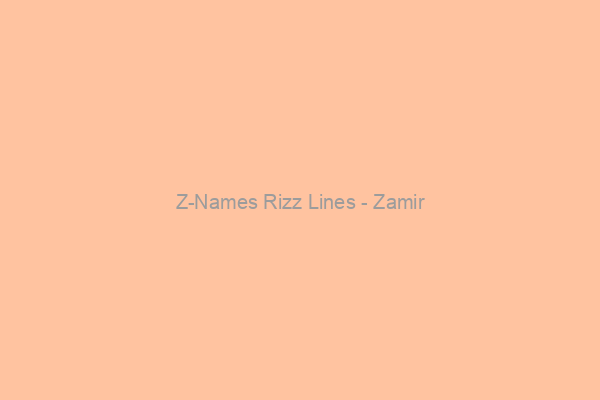 Zamir