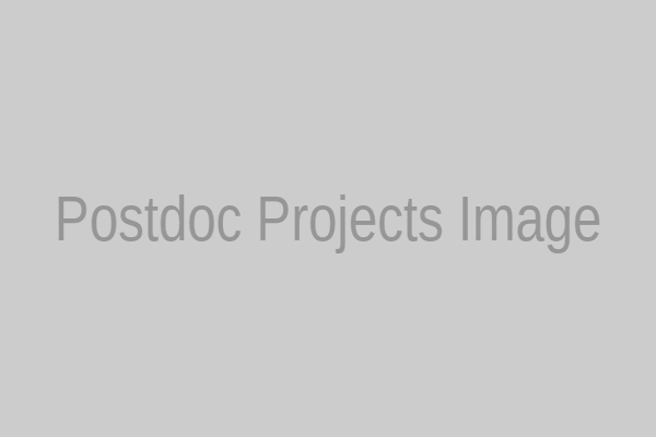 Postdoc Projects