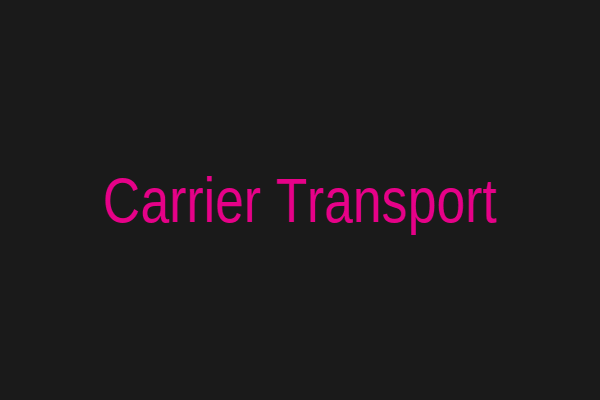 Carrier vehicle transport