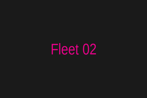 Auto Movers Express fleet vehicle 2